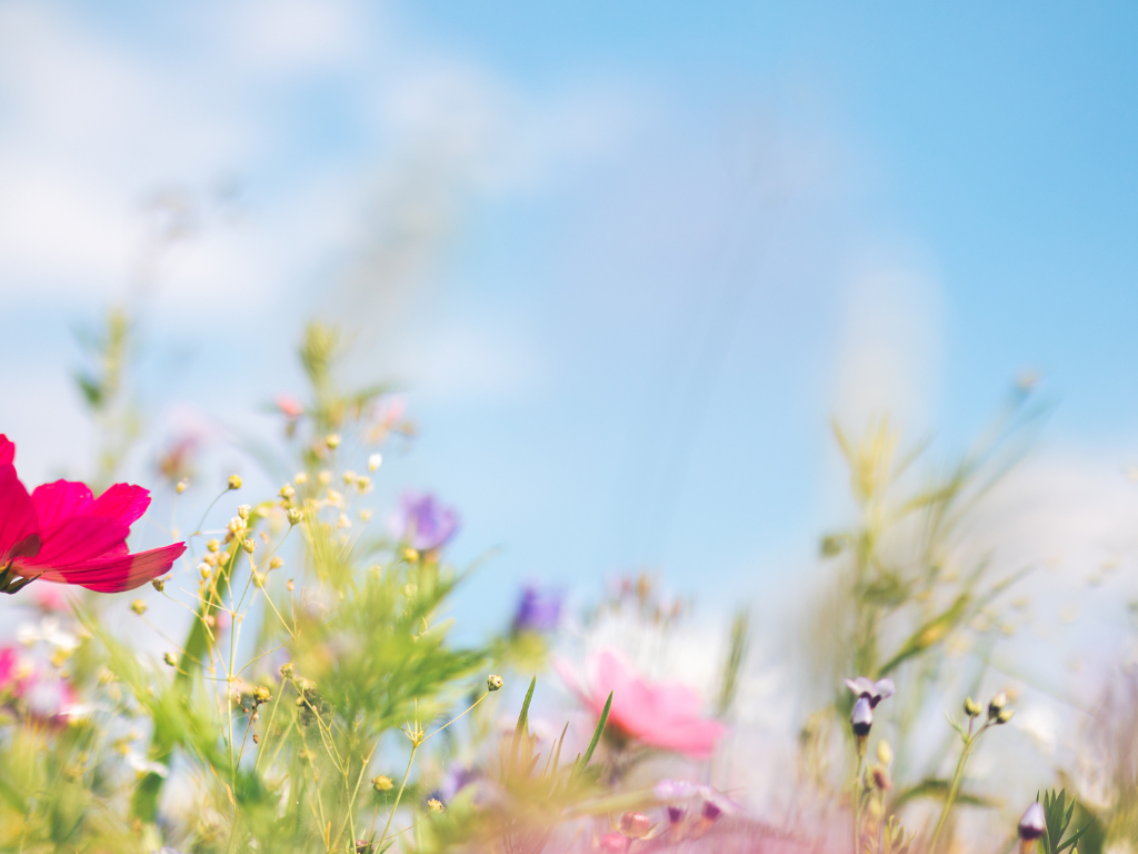 spring skin refresh