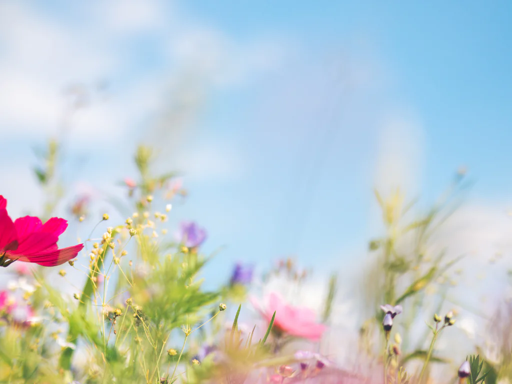 spring skin refresh